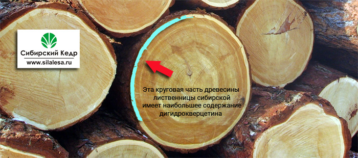 Dihydroquercetin-sapwood.jpg